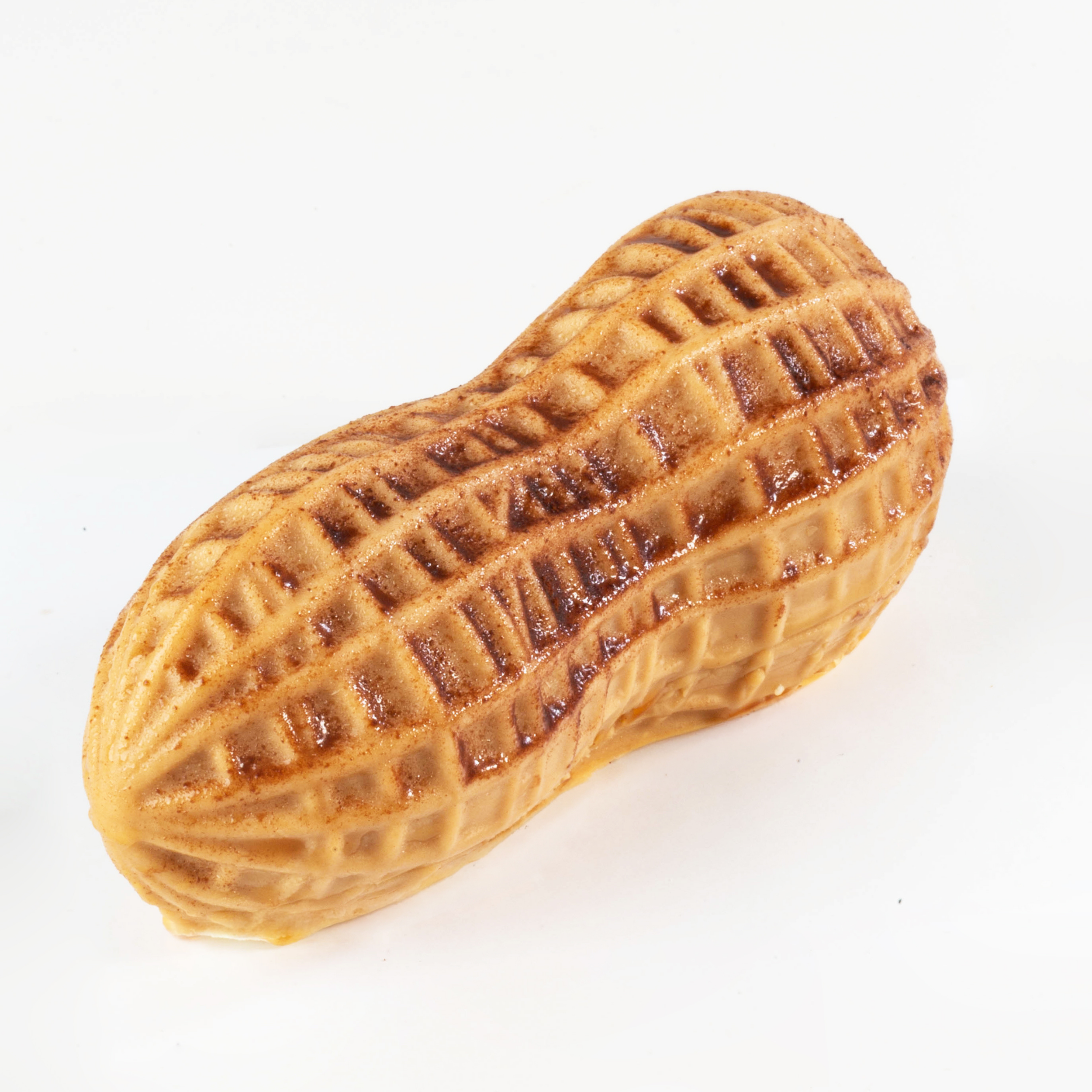 Arachide realistica